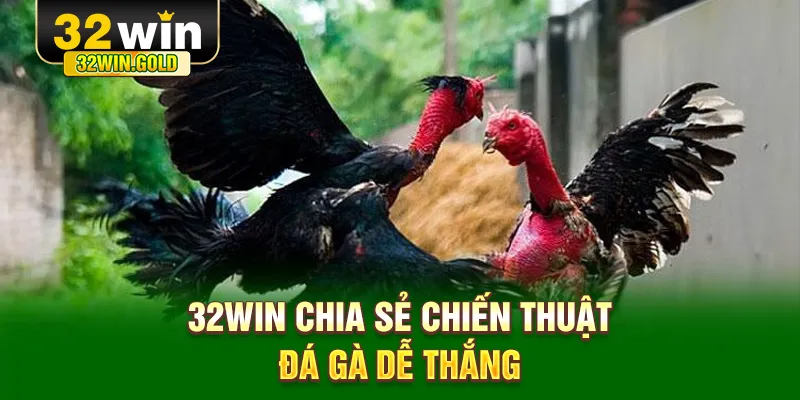 32WIN chia sẻ chiến thuật đ&aacute; g&agrave; dễ thắng