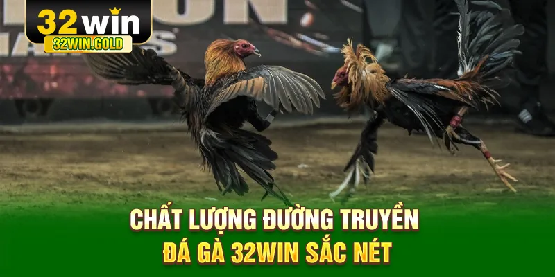 Chất lượng đường truyền đ&aacute; g&agrave; 32WIN sắc n&eacute;t