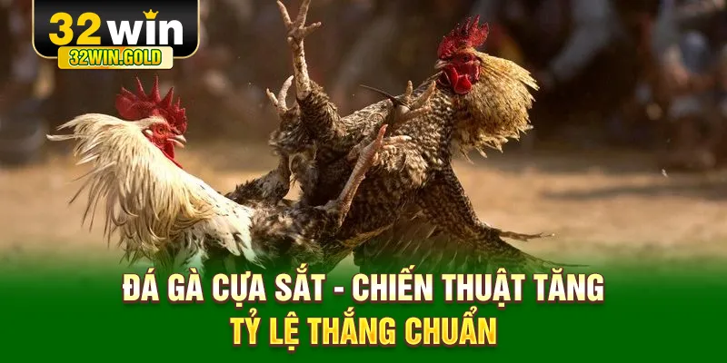 Đá gà cựa sắt