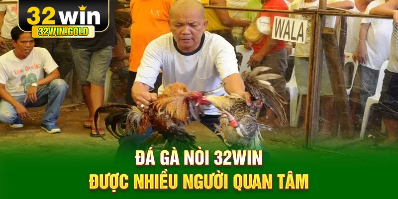 Đ&aacute; g&agrave; n&ograve;i 32WIN được nhiều người quan t&acirc;m